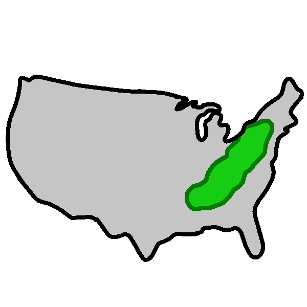A gray map of the United States with the Appalachian region highlighted in green.